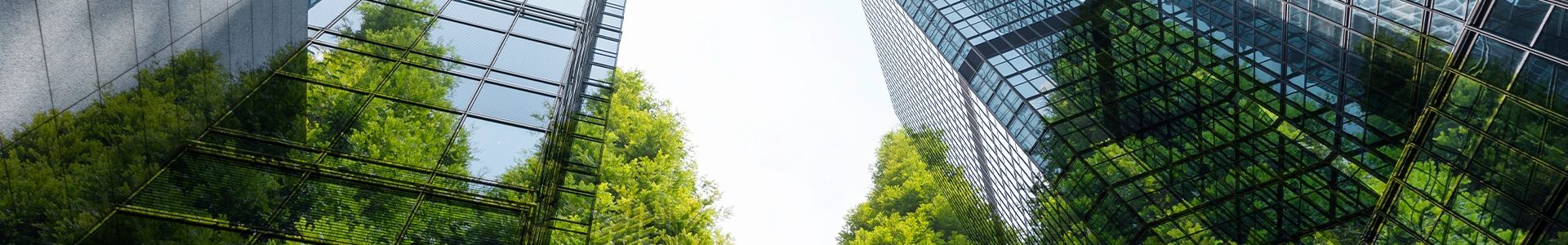 Upward view of modern glass office buildings with green trees in the foreground.