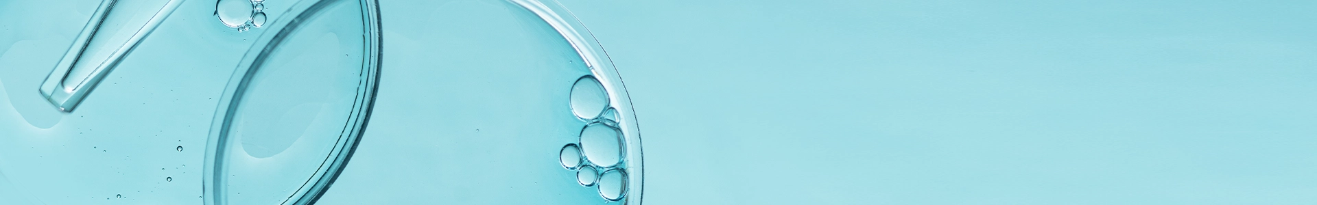 Close-up of clear liquid and air bubbles in a glass petri dish on a light blue background.