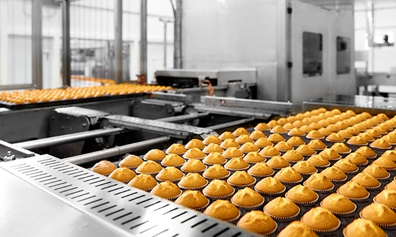 Rows of freshly baked muffins moving along an automated conveyor line inside a commercial food production facility.