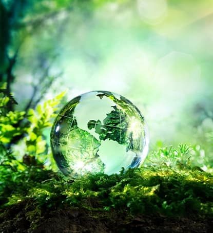 Environmental & Natural Resources