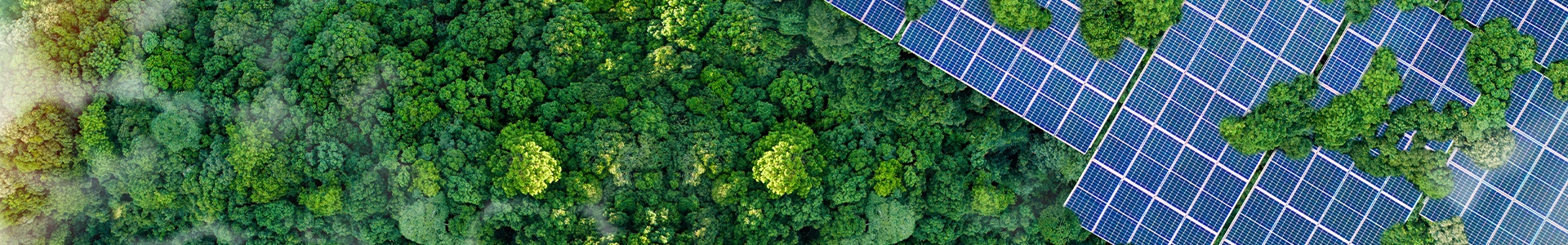 Aerial view of a dense green forest alongside large rows of solar panels.