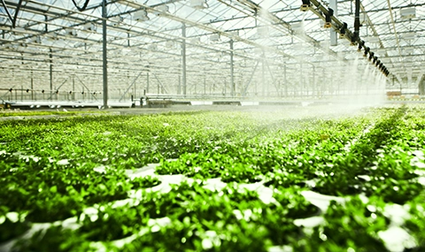 Legal Bites: Q4 2025 Edition