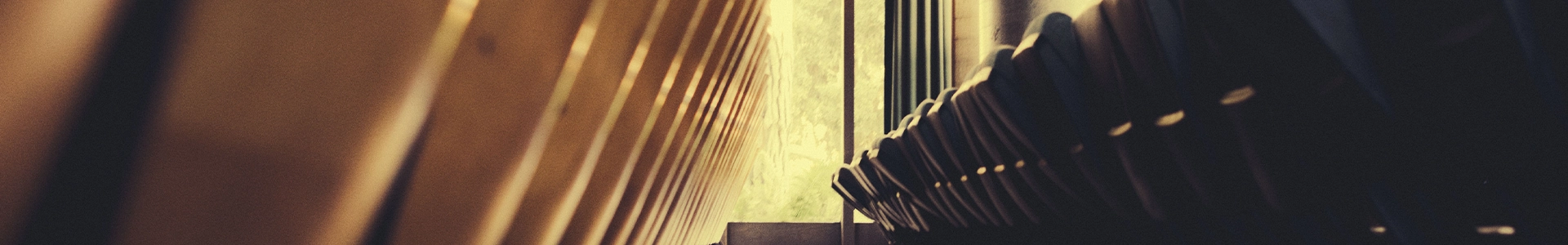 Empty rows of modern lecture hall seating with warm natural light streaming in through a large window.