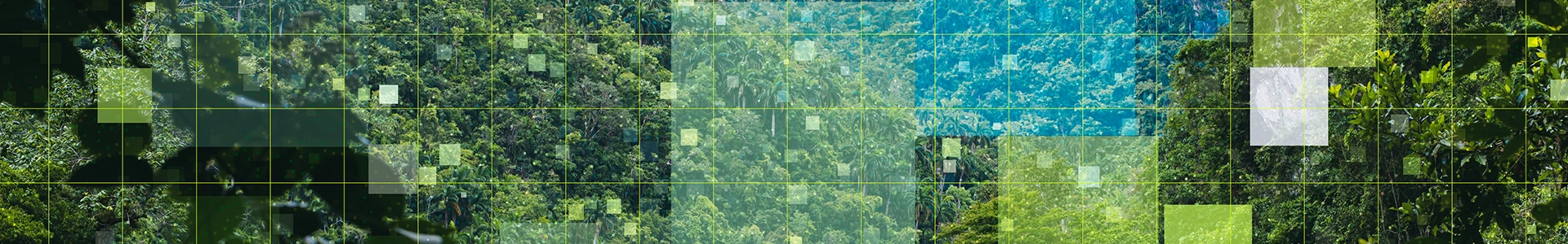 Dense green forest overlaid with a grid pattern and translucent colored squares.