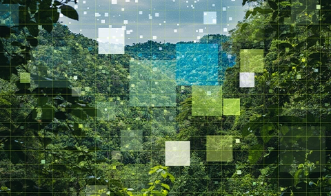 EPA’s Office of Enforcement Issues “Compliance First” Policy