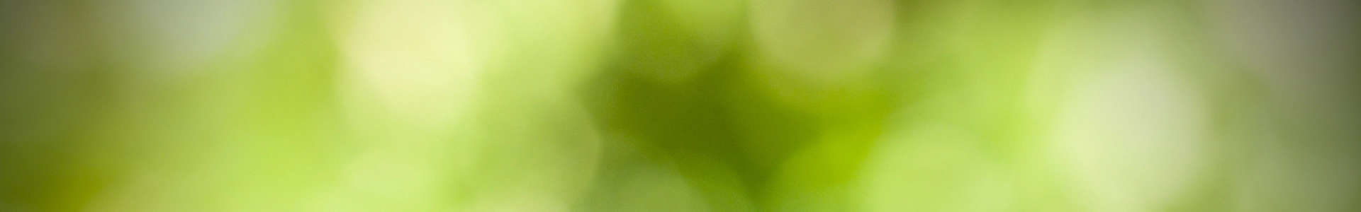 Soft green blurred background with gentle gradient tones.