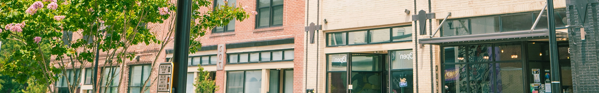Streetscape view of downtown Greenville featuring brick storefronts, large windows, and tree-lined sidewalks.