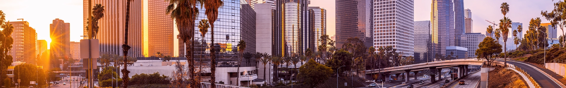 Panoramic view of downtown Los Angeles at sunset, featuring skyscrapers, palm trees, and freeway overpasses.