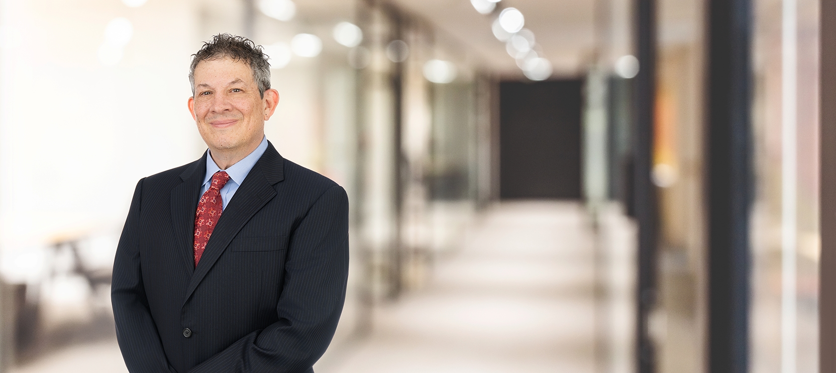 Professional portrait of Mitchell D. Hollander