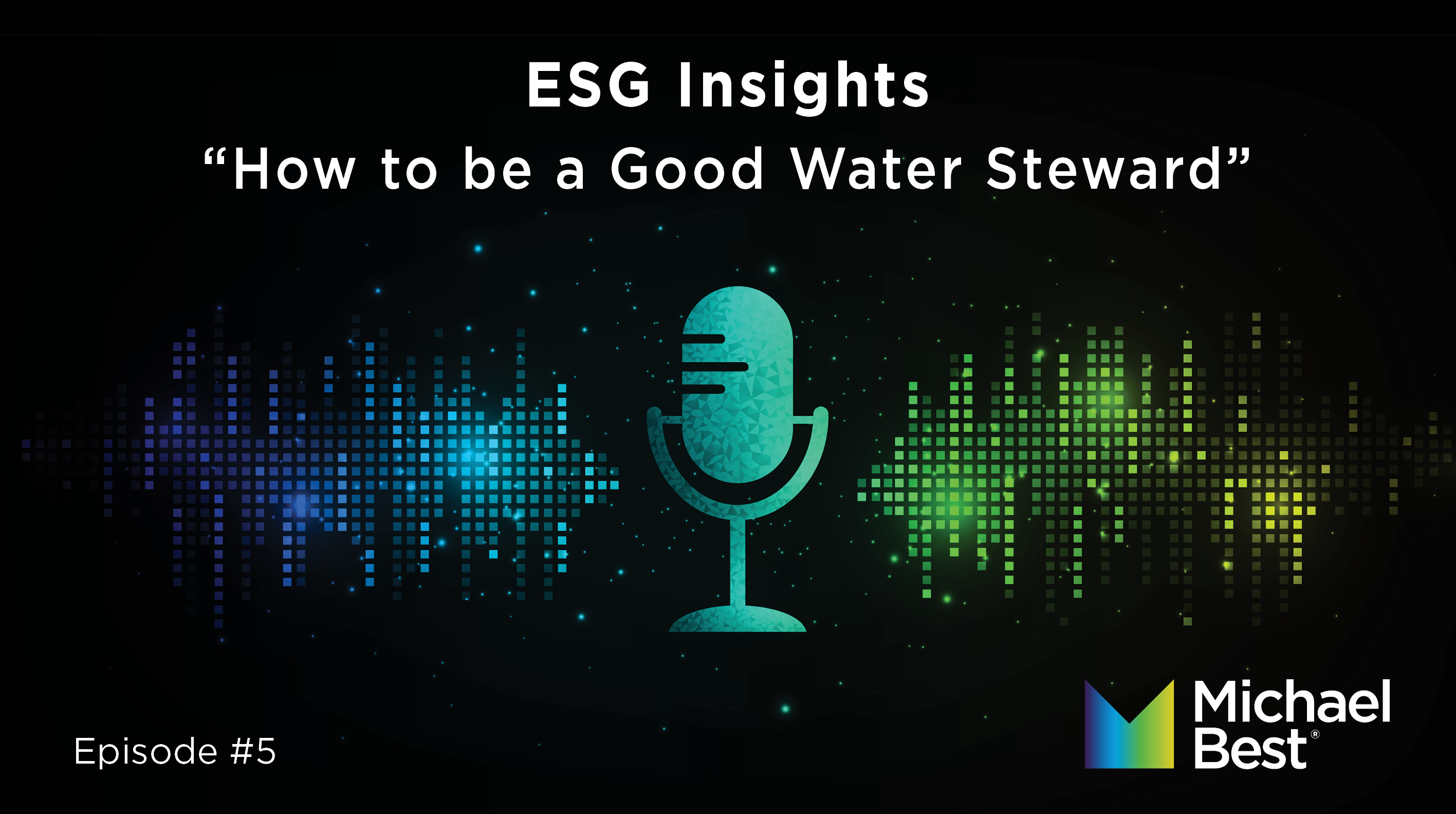 ESG Insights Podcast Photo
